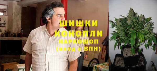 дживик Аркадак